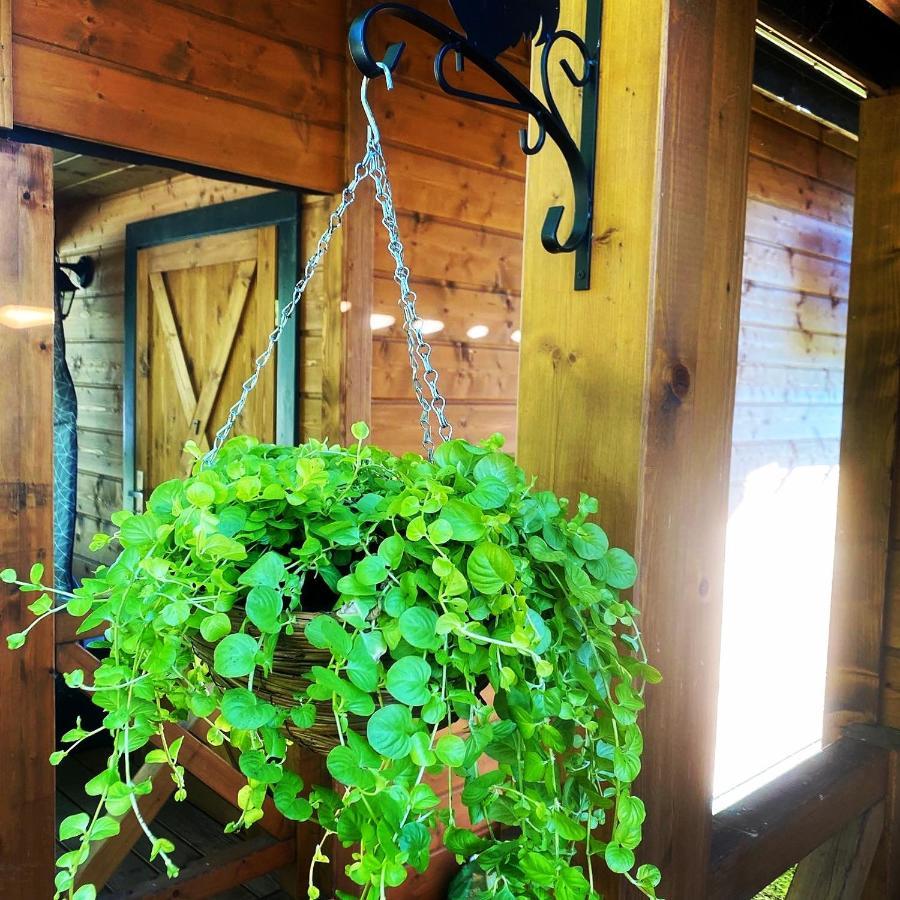 Ferienhaus Osada Międzywodzie
